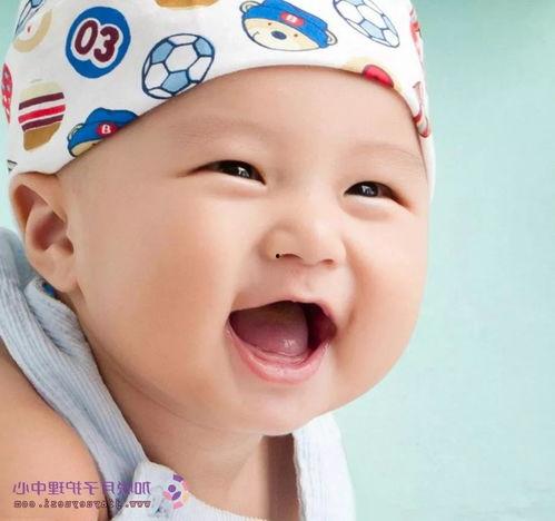 五福宝宝最新爆料,最新爆料背后的故事与真相